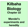 Biology Chapter 22 - Mendel's Experiments and Heredity